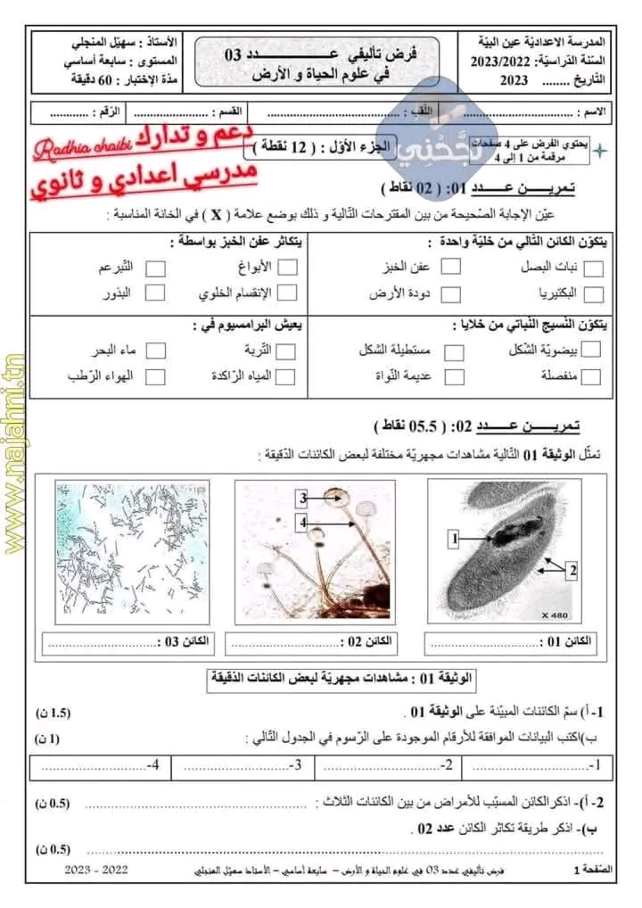 صورة المقال