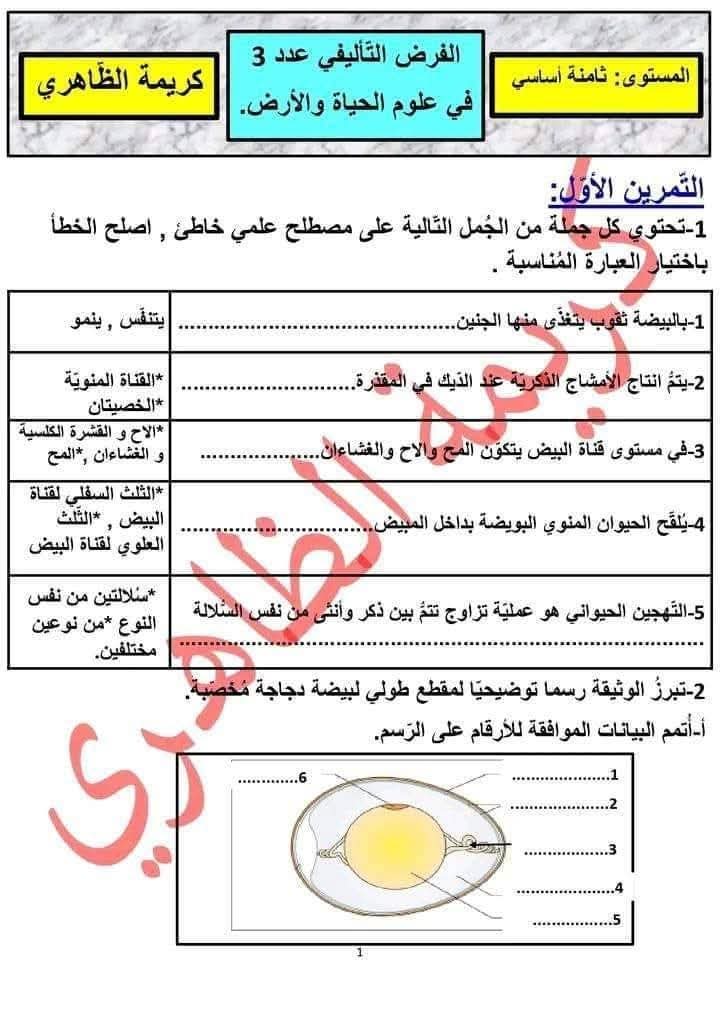 صورة المقال